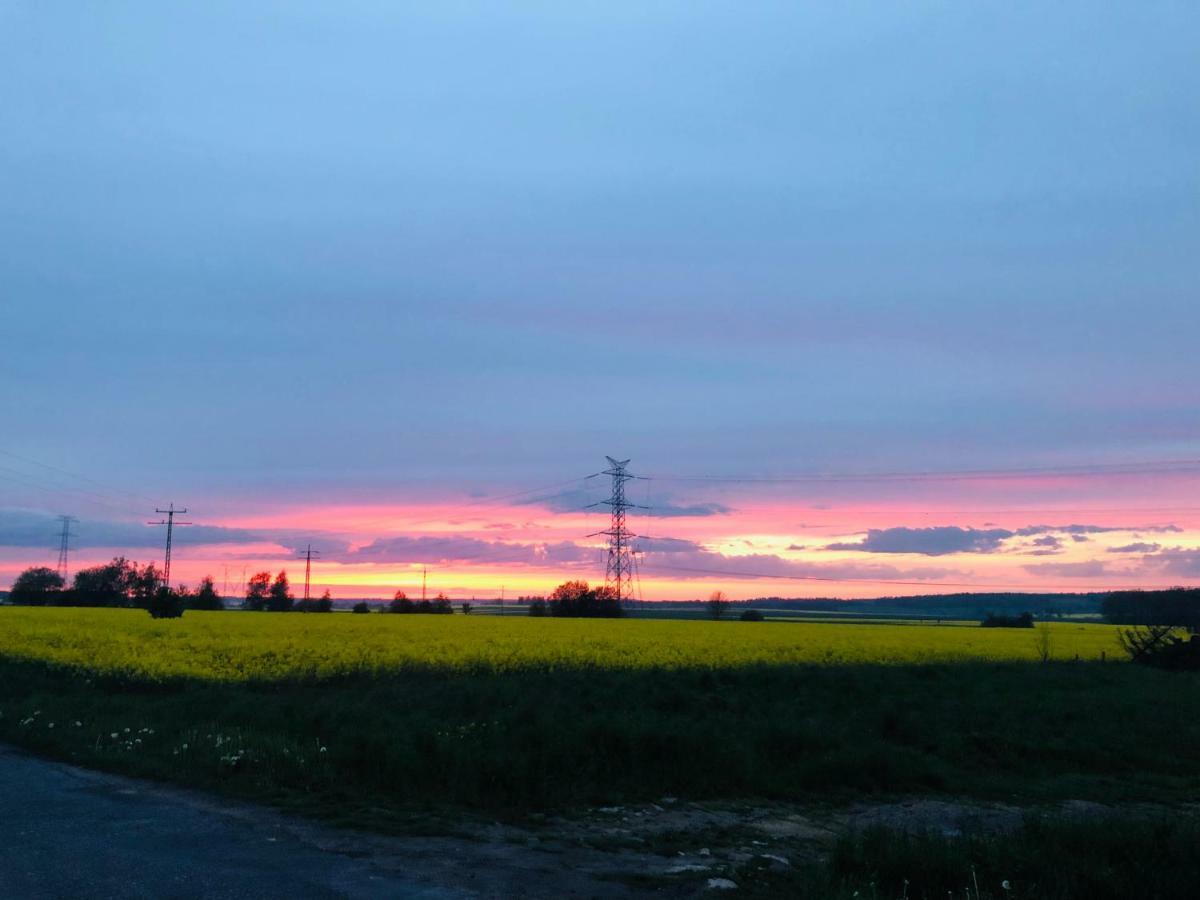Nibylandia Dom Pod Lasem Nowa Wies Grodziska Exteriör bild