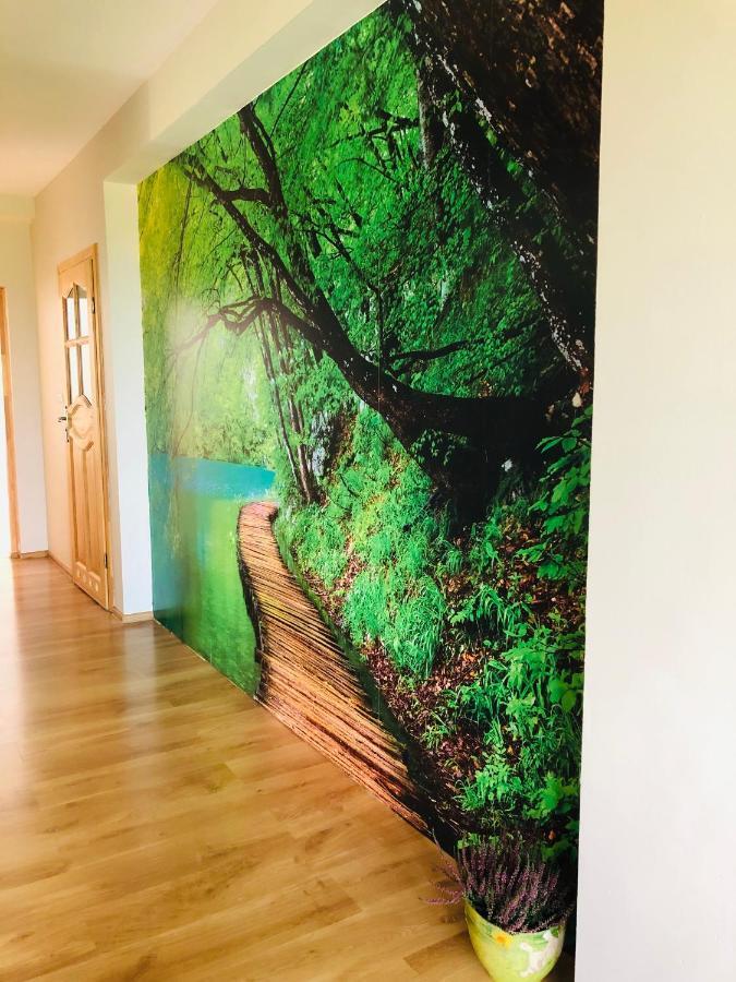 Nibylandia Dom Pod Lasem Nowa Wies Grodziska Exteriör bild